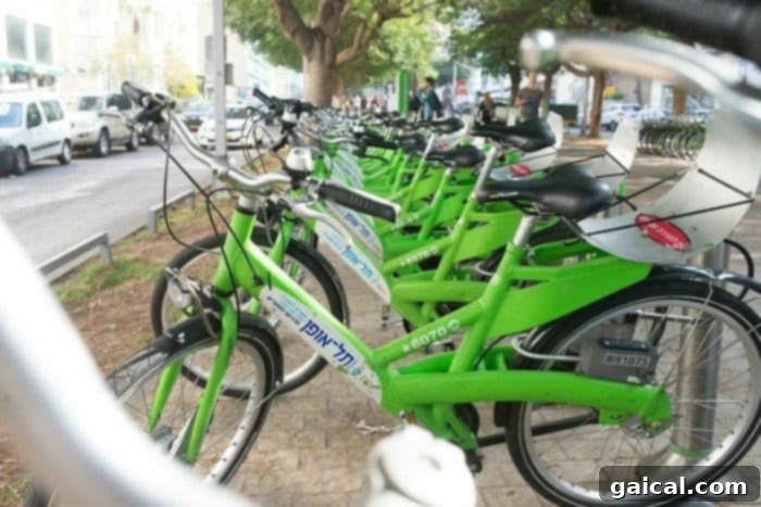 Israel Wellness Immersion 16 tel aviv bike share