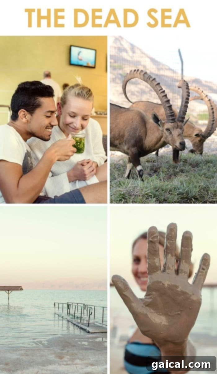 Israel Wellness Immersion 4 dead-sea ibex