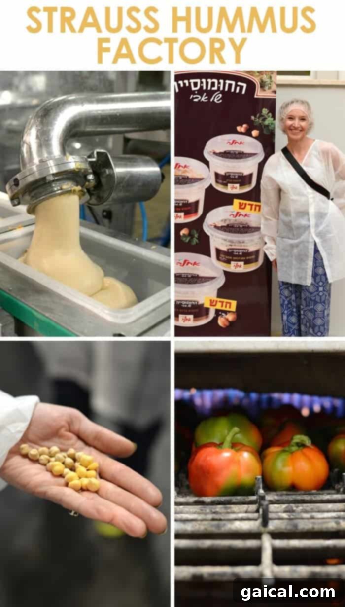 Israel Wellness Immersion 6 strauss hummus factory