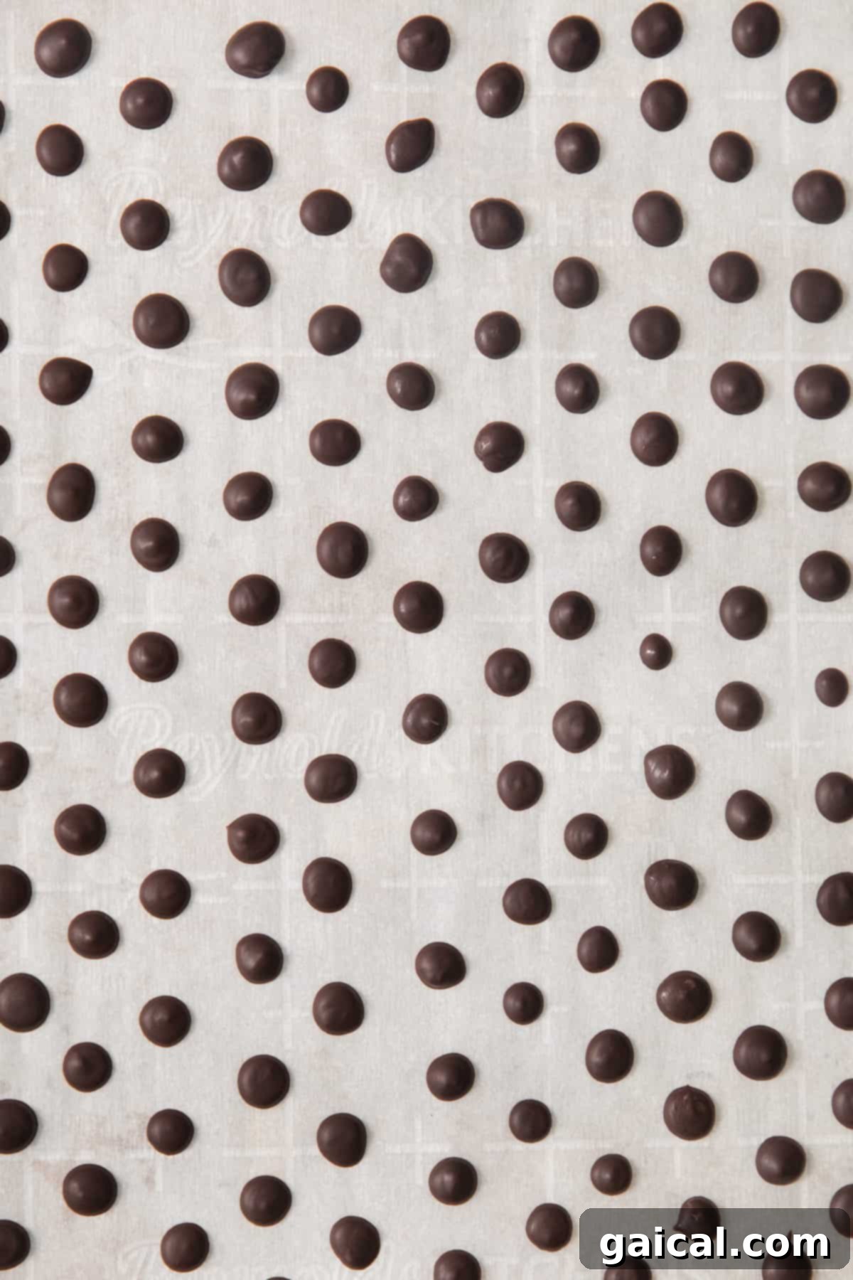 Quick & Easy Homemade Vegan Chocolate Chips 5 A black and white image of chocolate dots on a white background.