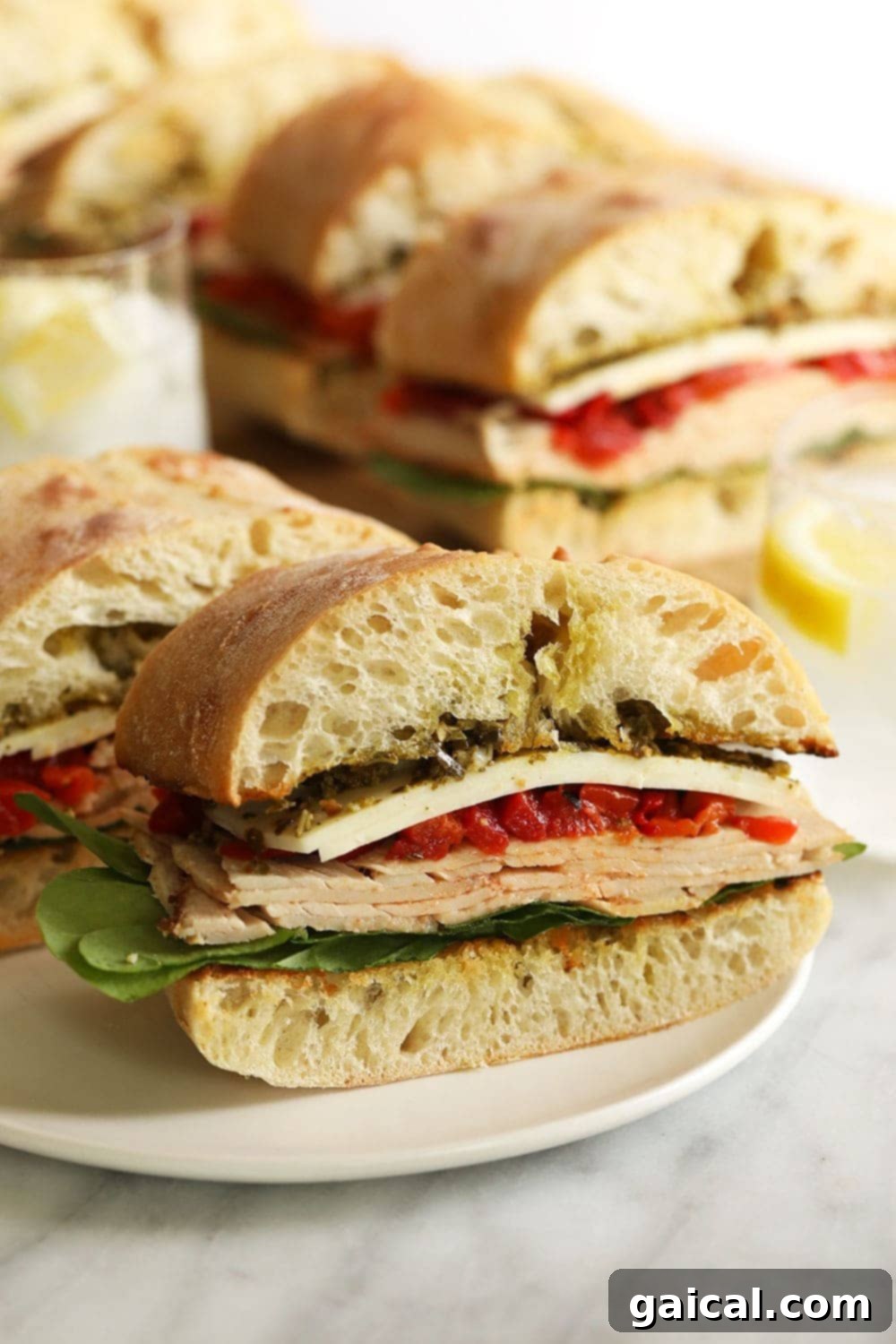 Beautifully plated grilled turkey pesto sandwich, cut into halves, showcasing the layers of ingredients