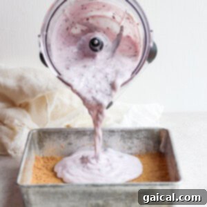 Pouring the blueberry cheesecake filling over the baked graham cracker crust.