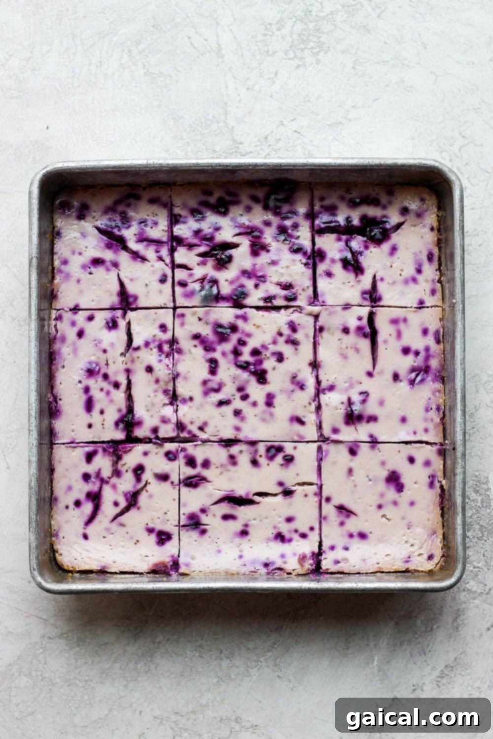 Beautifully baked blueberry cheesecake bars cooling in a square baking dish, ready for chilling and slicing.