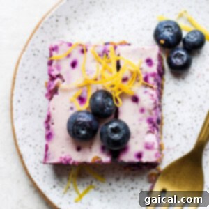 A single baked blueberry cheesecake bar, perfectly sliced and ready to serve on a plate.