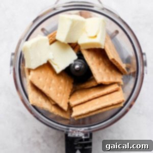 Butter and graham crackers being blended in a food processor for the crust.