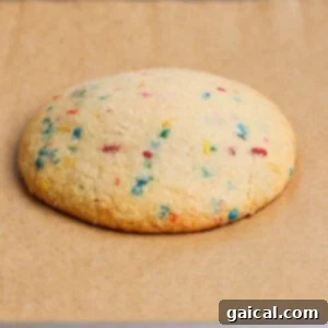 Baked cookie on parchment paper