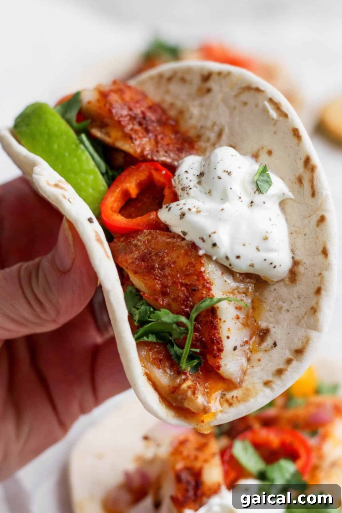 A hand holding a delicious fish taco.