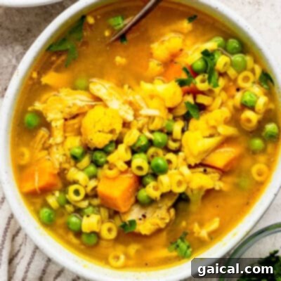 Top 10 Spit-Roasted Chicken Ideas 11 Immunity Soup