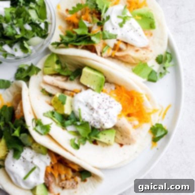 Top 10 Spit-Roasted Chicken Ideas 12 Shredded Chicken Tacos