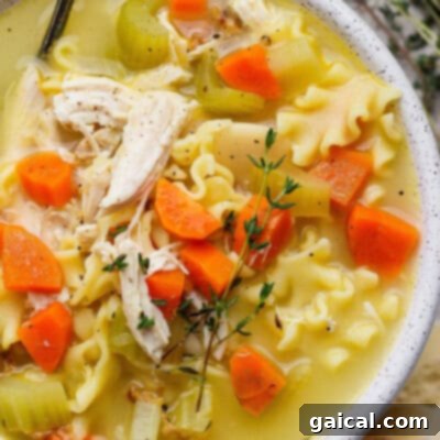 Top 10 Spit-Roasted Chicken Ideas 6 High Protein Creamy Chicken Soup