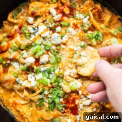 Top 10 Spit-Roasted Chicken Ideas 7 Cottage Cheese Buffalo Chicken Dip