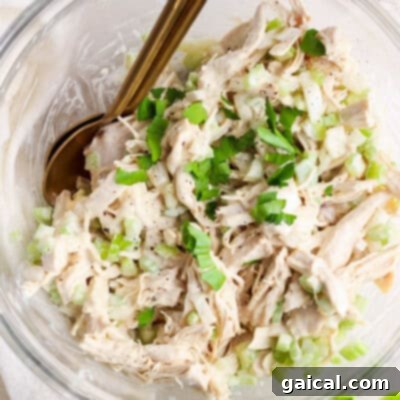 Top 10 Spit-Roasted Chicken Ideas 9 Honey Mustard Chicken Salad