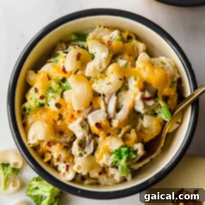 Top 10 Spit-Roasted Chicken Ideas 10 Chicken Broccoli Cottage Cheese Mac and Cheese