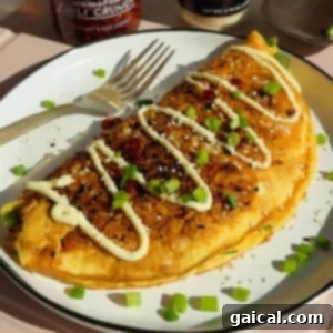 Finished crispy rice omelette