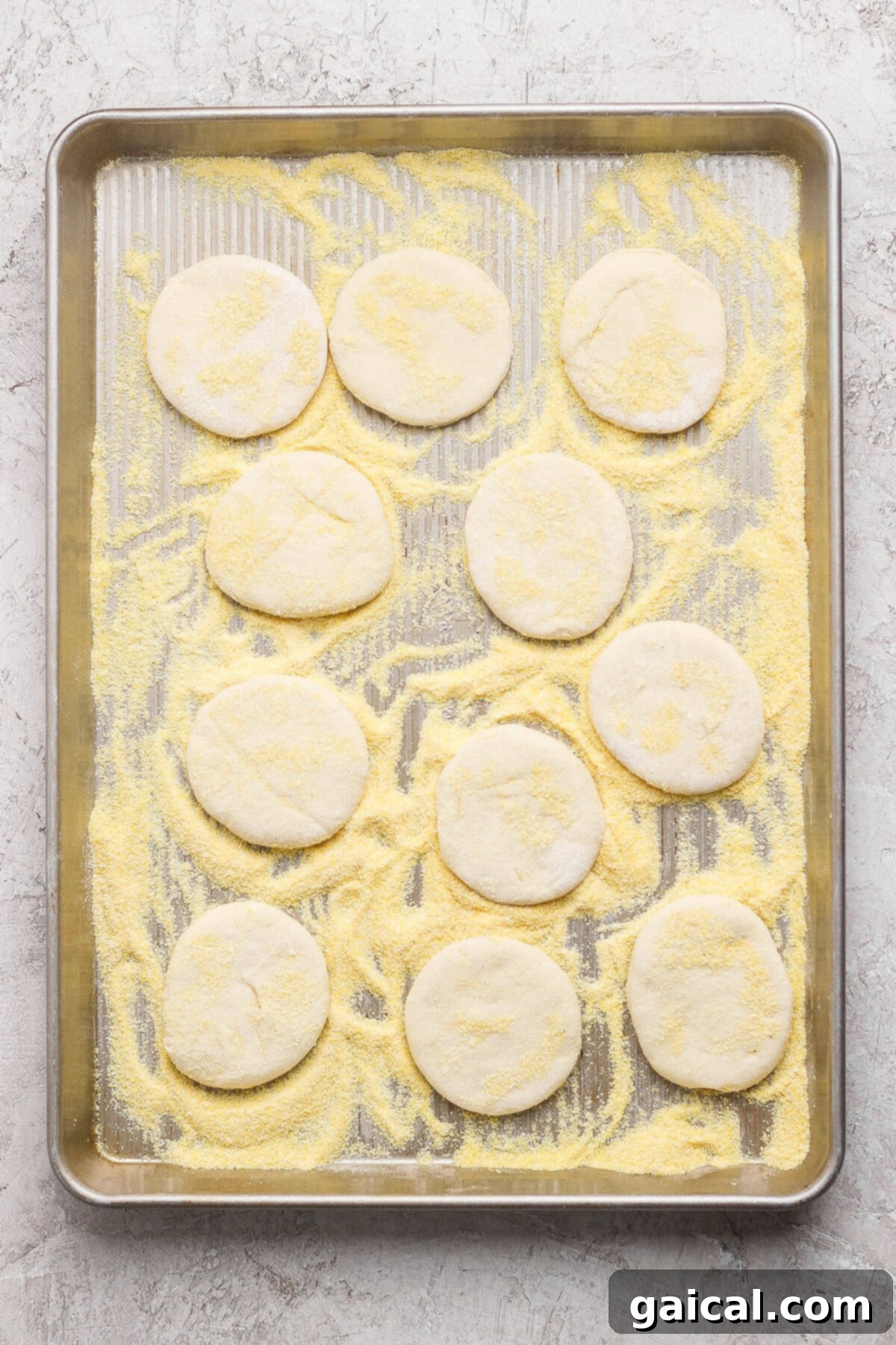 Protein Packed Cottage Cheese English Muffins 4 A baking sheet with twelve round, uncooked dough pieces on a generous layer of cornmeal, perfectly arranged and ready for the next step of preparation.