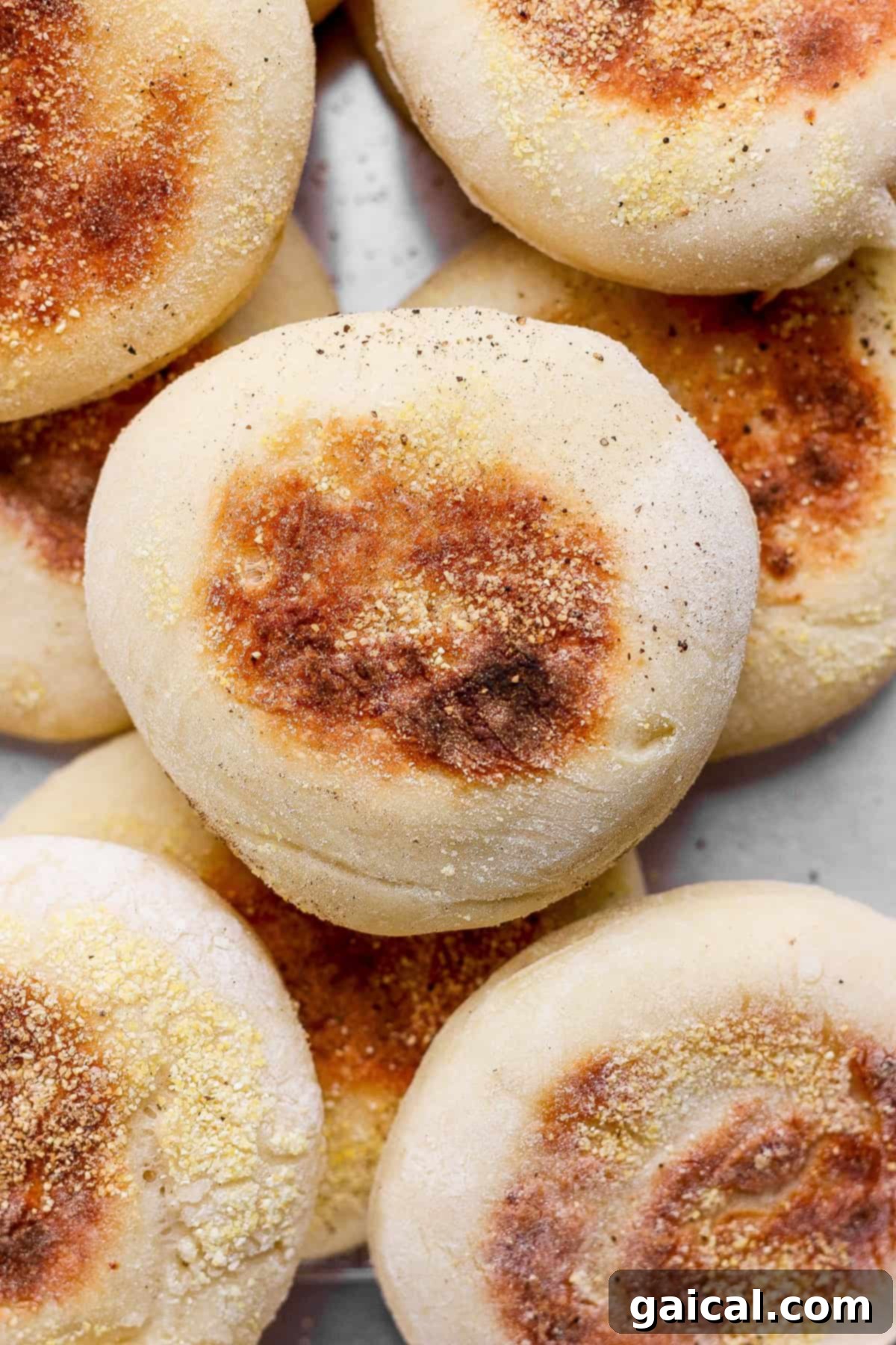 Protein Packed Cottage Cheese English Muffins 7 A close-up of several plain English muffins, lightly browned on top, stacked together with visible cornmeal on their surfaces, ready to be enjoyed.