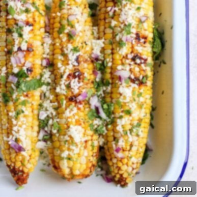 Next Level Street Corn Creations 10 Four ears of perfectly grilled Mexican street corn topped with cheese and spices.