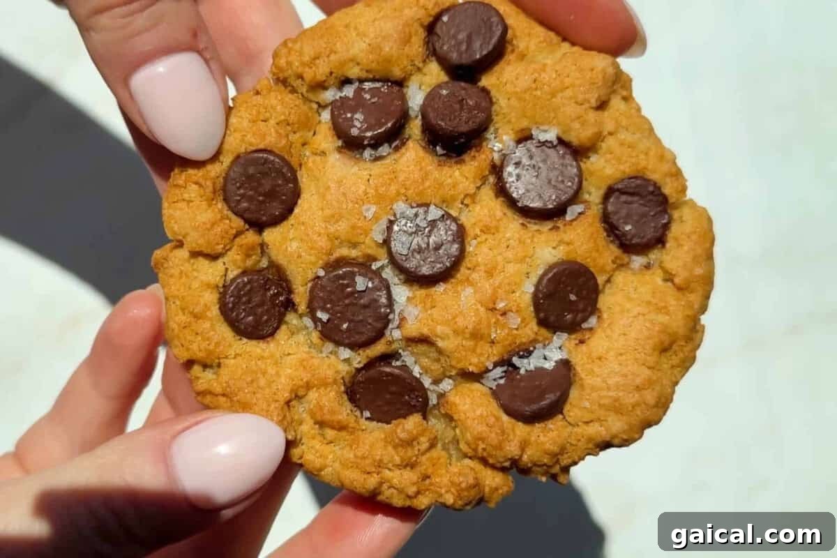 A close-up of hands holding a chocolate chip cookie with visible sea salt flakes on top.