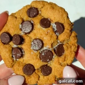 A person holding a chocolate chip cookie topped with coarse sea salt; the cookie has a golden-brown color and visible chocolate chips.