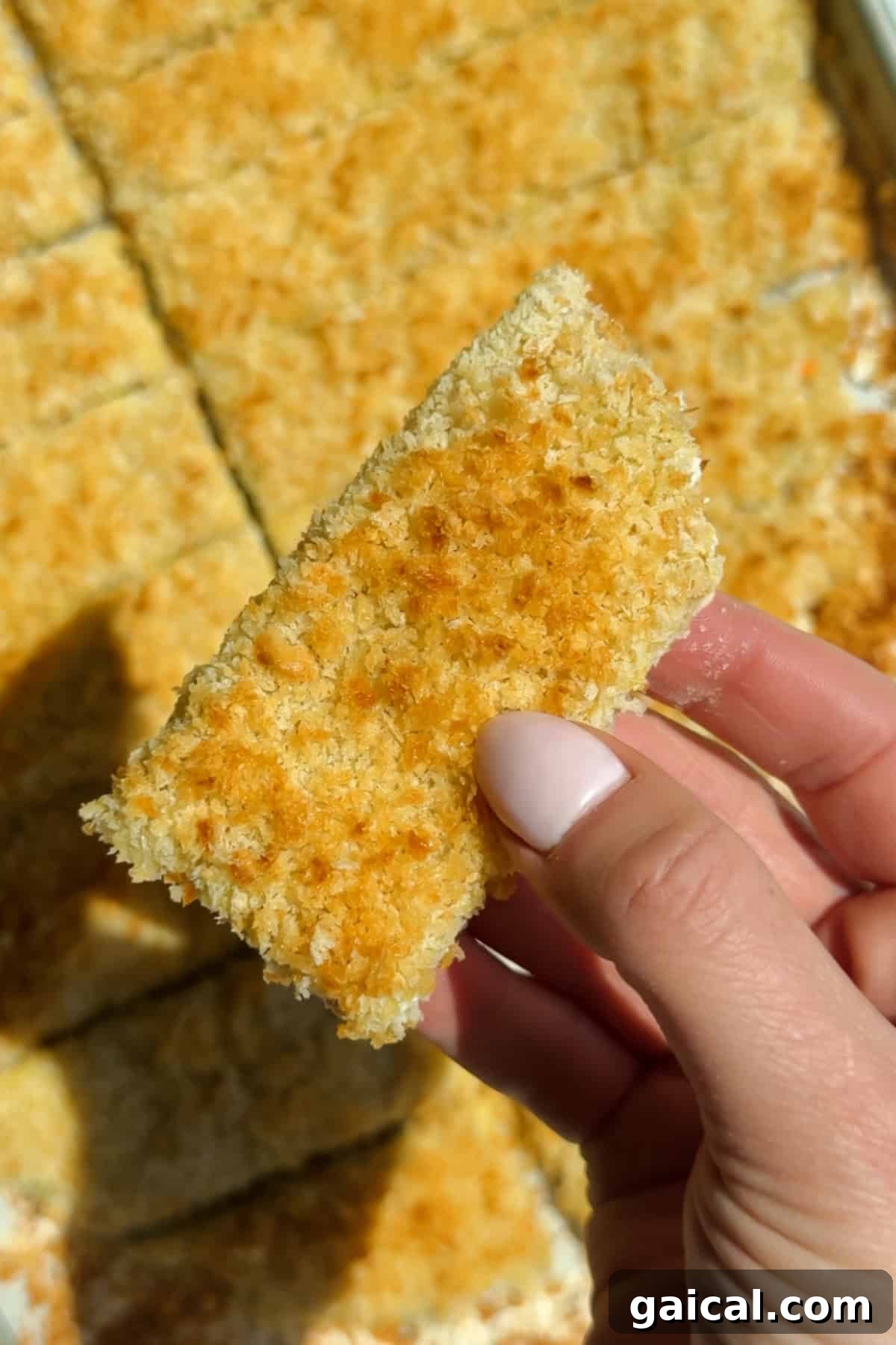 Buffalo Chicken Protein Bars — Crispy Baked Savory Snack 7 Baked chicken protein bars with crispy golden panko crust on a serving tray