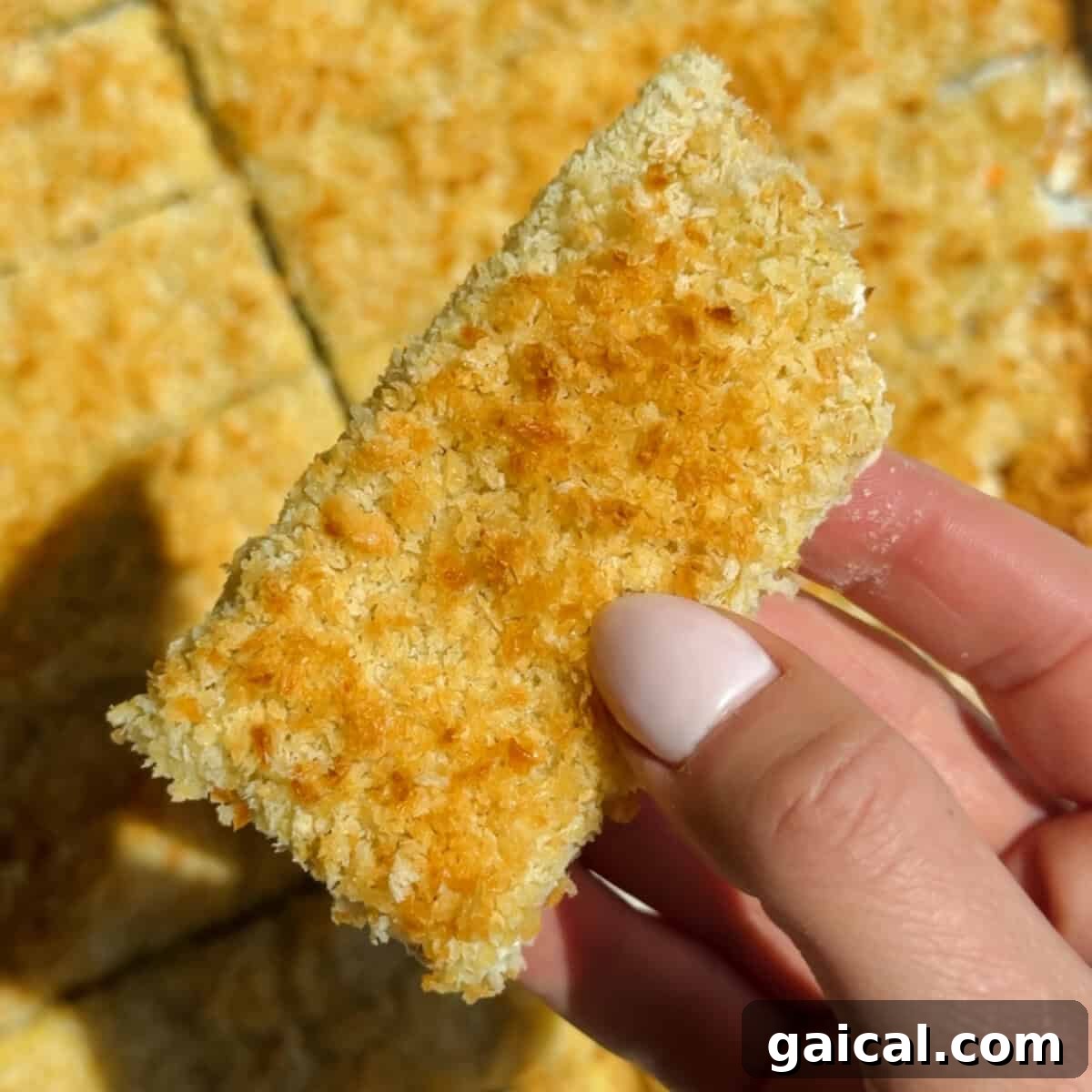 Buffalo Chicken Protein Bars — Crispy Baked Savory Snack 9 Holding a golden brown chicken protein bar with crispy panko and parmesan crust