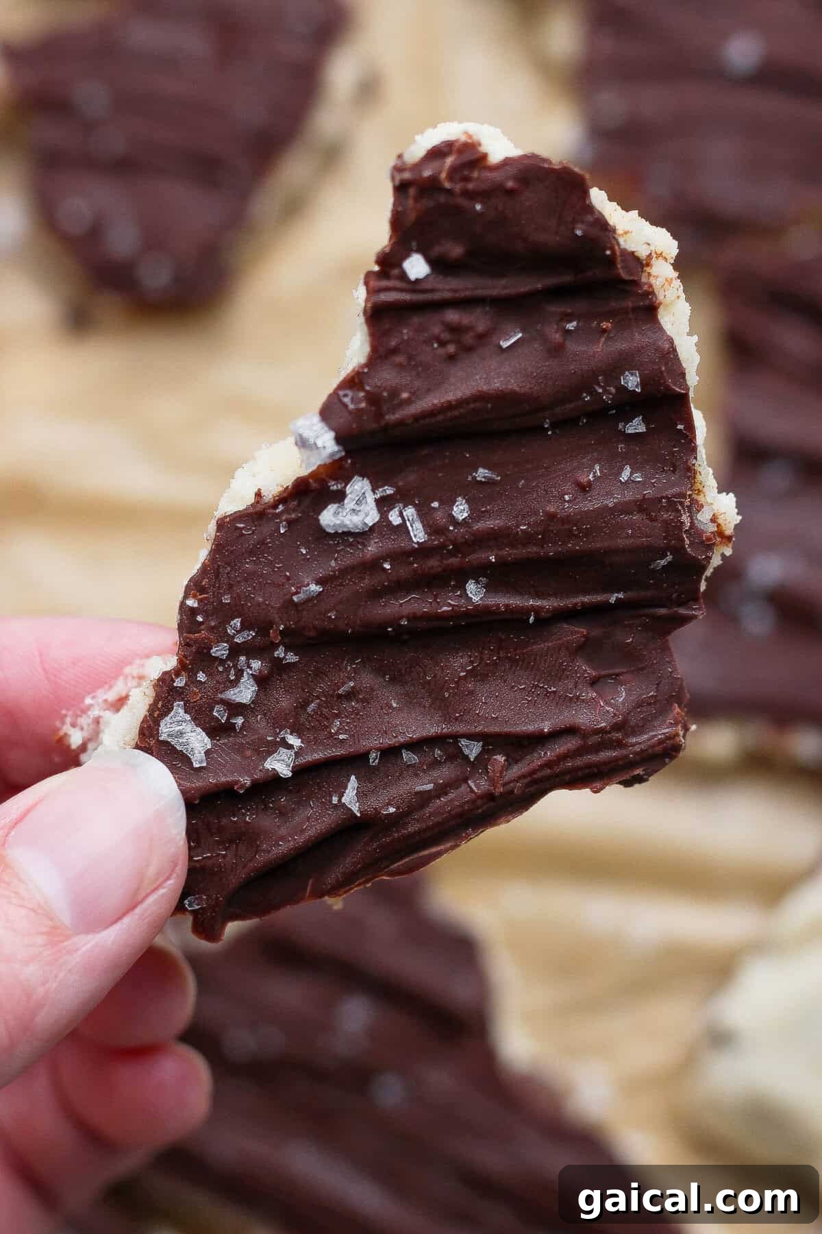 hand holding a piece of cottage cheese cookie dough bark with sea salt