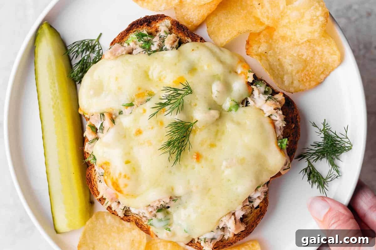 Tuna Melt with Cottage Cheese, No Mayo 2 healthy tuna melt with cottage cheese served with chips and pickle