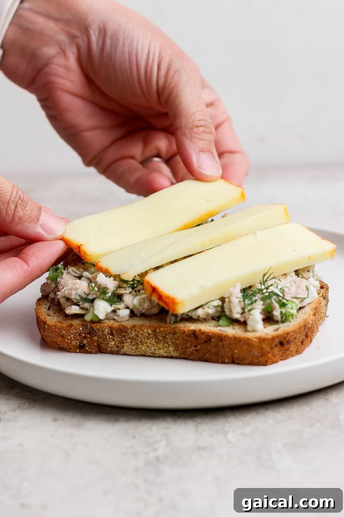 Tuna Melt with Cottage Cheese, No Mayo 6 placing muenster cheese slices on tuna melt