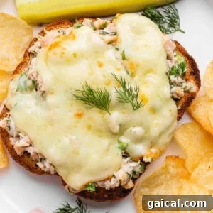 Tuna Melt with Cottage Cheese, No Mayo 7 healthy tuna melt with cottage cheese served with chips and pickle