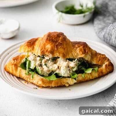 A croissant sandwich with chicken salad on a plate.